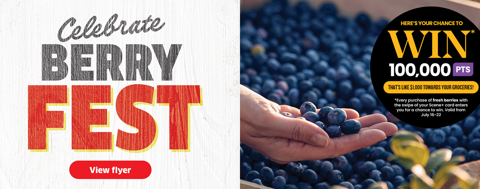 Celebrate Blueberry Fest